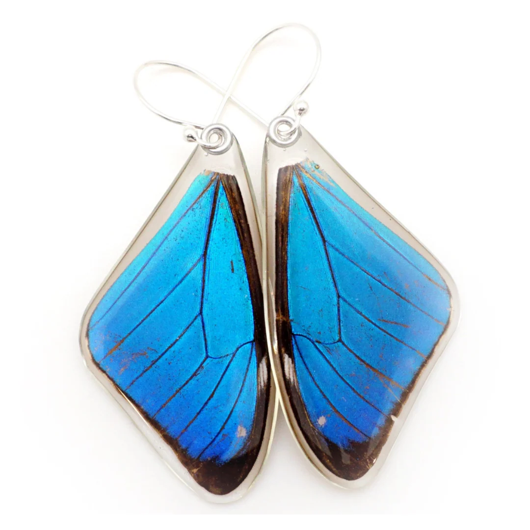 Blue Morpho Butterfly Wing Earrings - Image 2