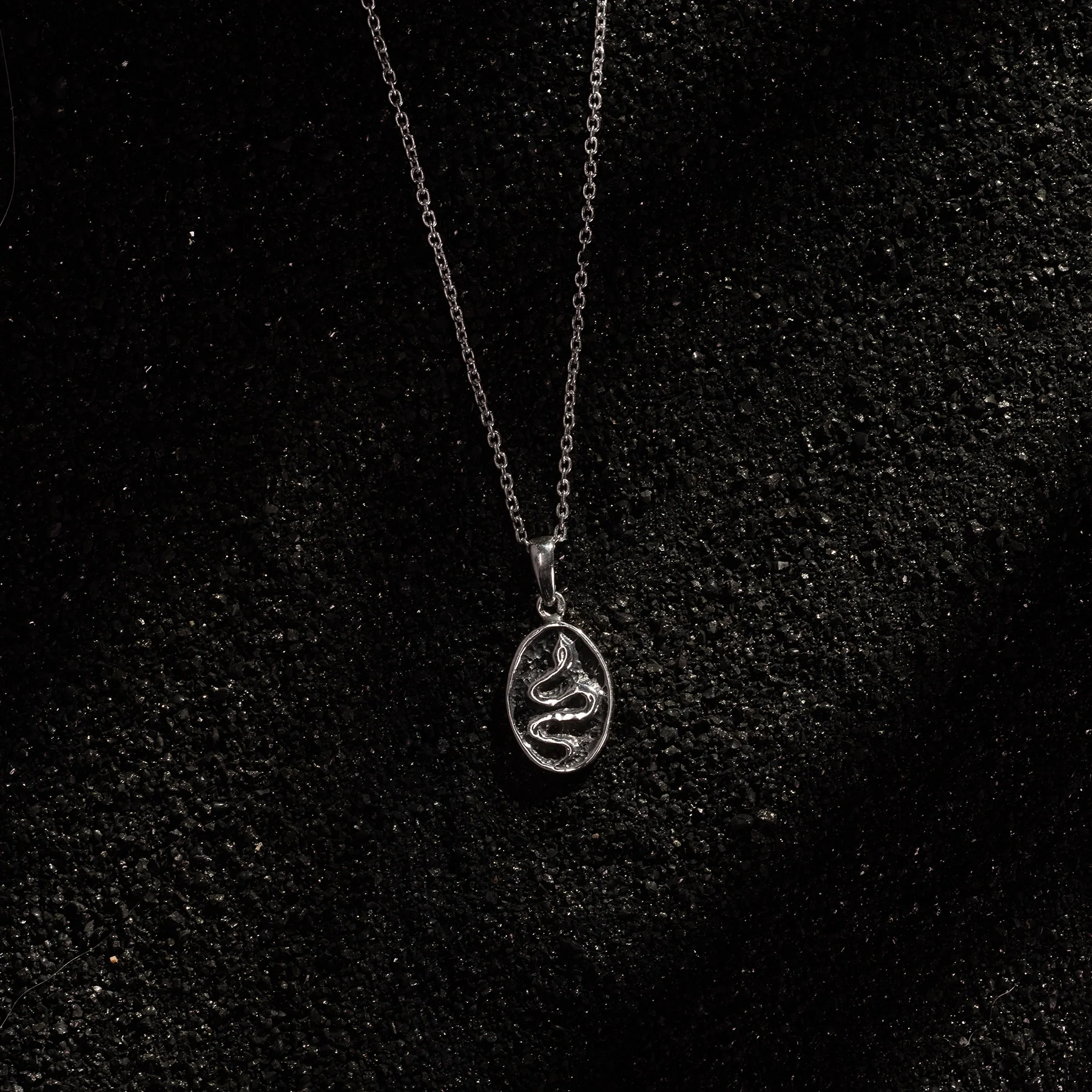 Double-Sided Beetle & Snake Oval Pendant - Image 4
